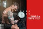 WHAT IS A STEROID CYCLE?